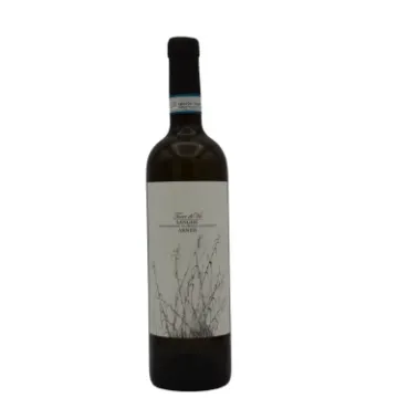 Langhe Arneis - Bossotti Langhe Arneis - Bossotti