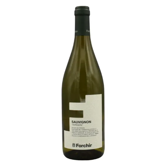 Sauvignon Blanc - Forchir
