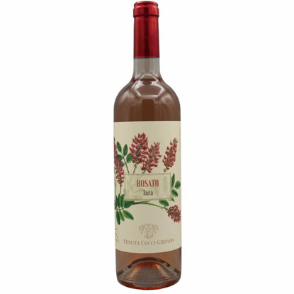 Cocci Grifoni Rosato Tara | Italiaanse rose wijn van 100% Merlot druiven